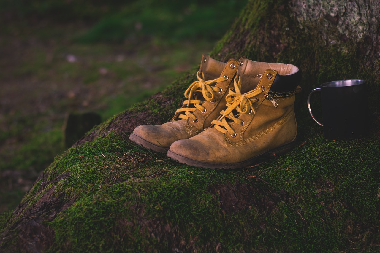 بررسی انواع و ویژگیهای کفش کوهنوردی(خرید کفش کوهنوردی مناسب) 1 boots 1638873 1280