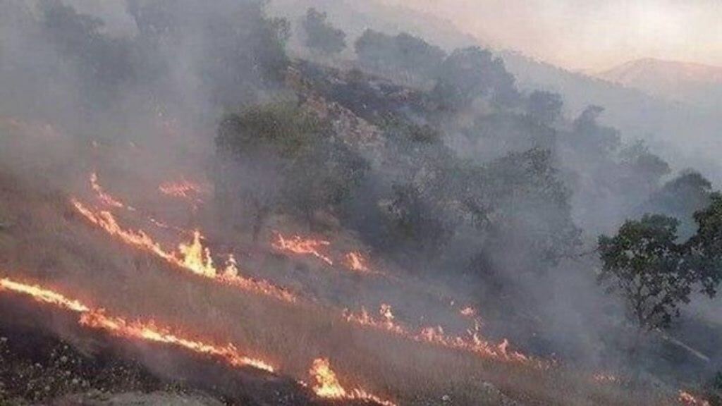 آتش سوزی های گسترده سال ۹۹ در جنگل های زاگرس 