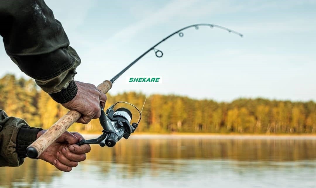 بهترین لوازم ماهیگیری و شکار را از کجا تهیه کنیم؟ 2 postb2