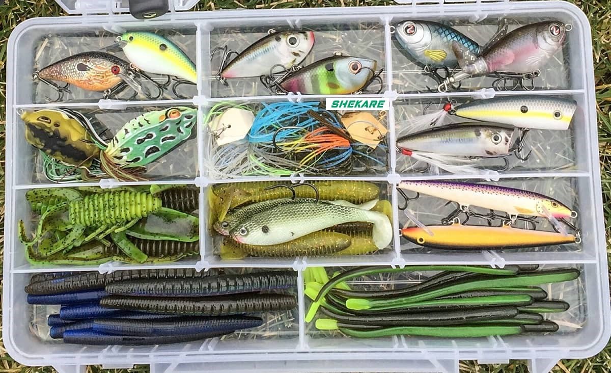 بهترین لوازم ماهیگیری و شکار را از کجا تهیه کنیم؟ 4 postb3