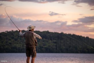 istockphoto 1337989734 2048x2048 1