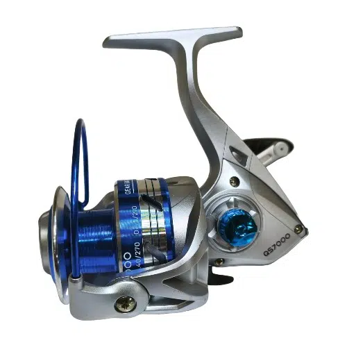 IMG_20250309_114952 IMG 20250309 114952