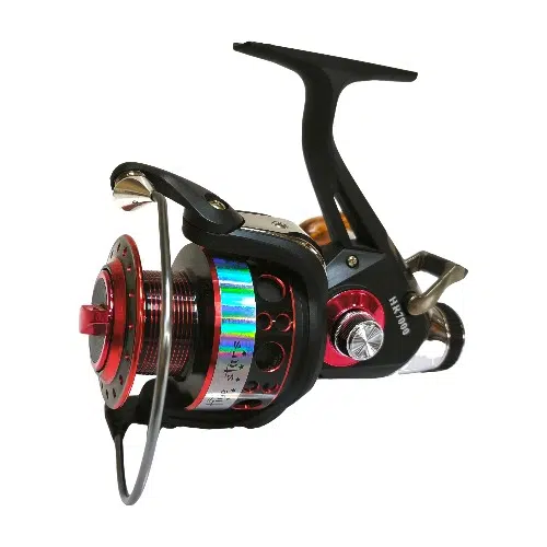 IMG_20250309_123553 IMG 20250309 123553