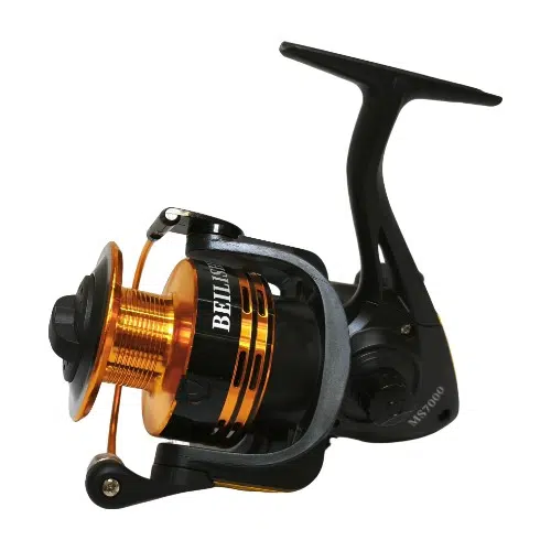 IMG_20250309_124606 IMG 20250309 124606