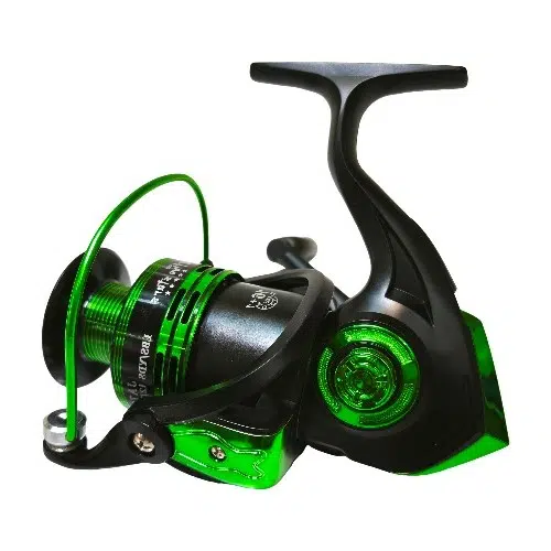 IMG_20250309_13010 IMG 20250309 13010